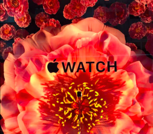 selfridge-apple