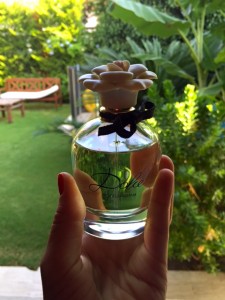 Ürün Kodlarını Çözmek- Dolce by Dolce&Gabbana