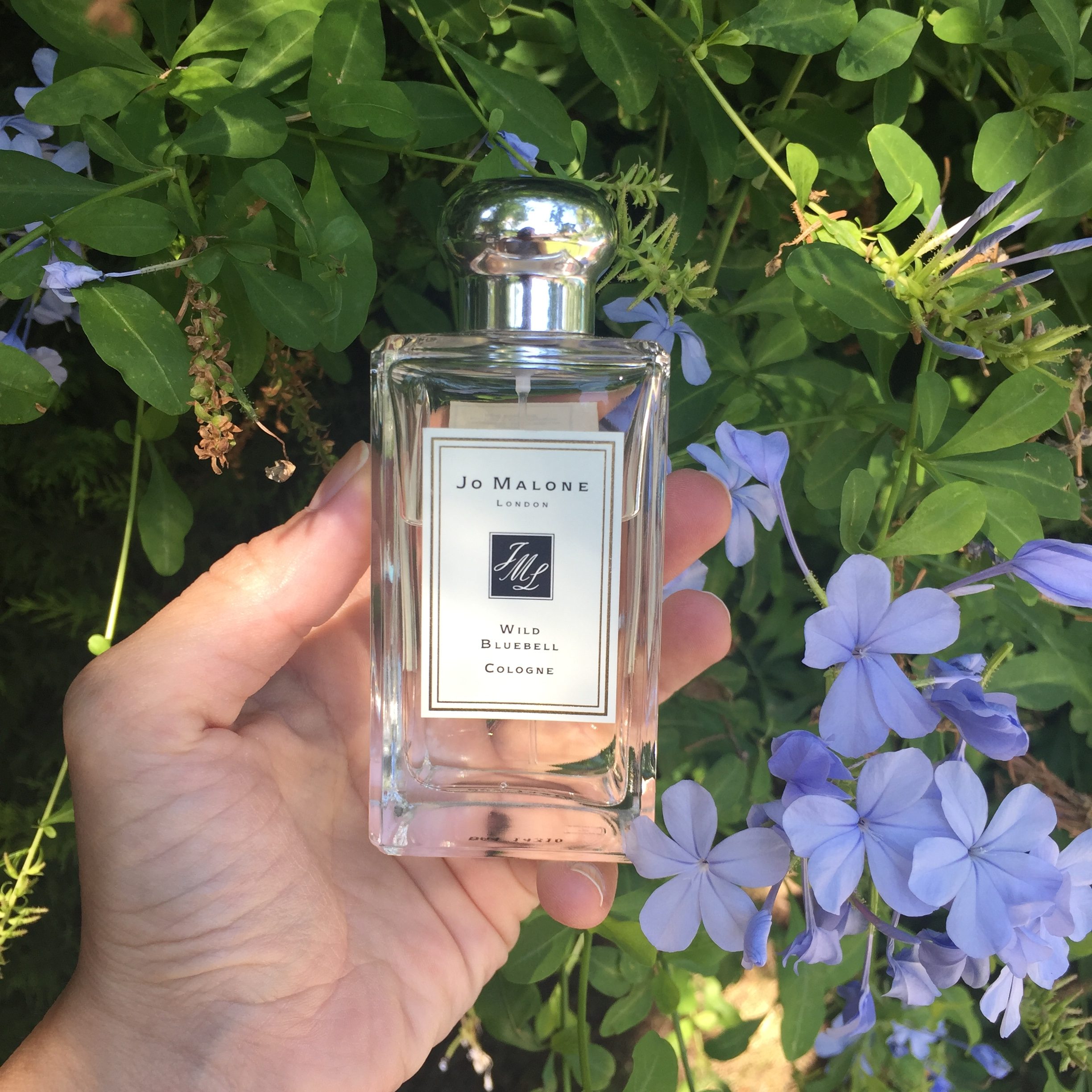 Jo malone bluebell. Wild Bluebell Jo Malone London. Jo Malone Wild Bluebell Cologne. Джо Малон оригинал. Джо Малон голубая Лагуна.