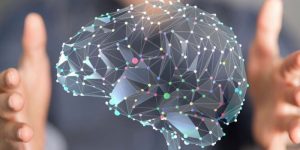 Aldığınız Ürünü Aslında Siz Seçmiyorsunuz. Farkında Değilsiniz!